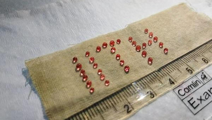 Biomimetic Structure 1